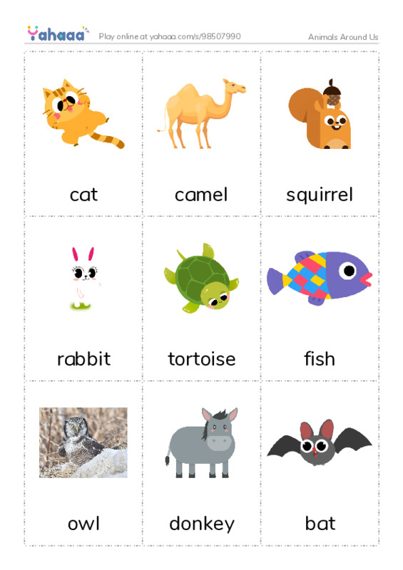 Picture flashcards worksheet for Animals Around Us