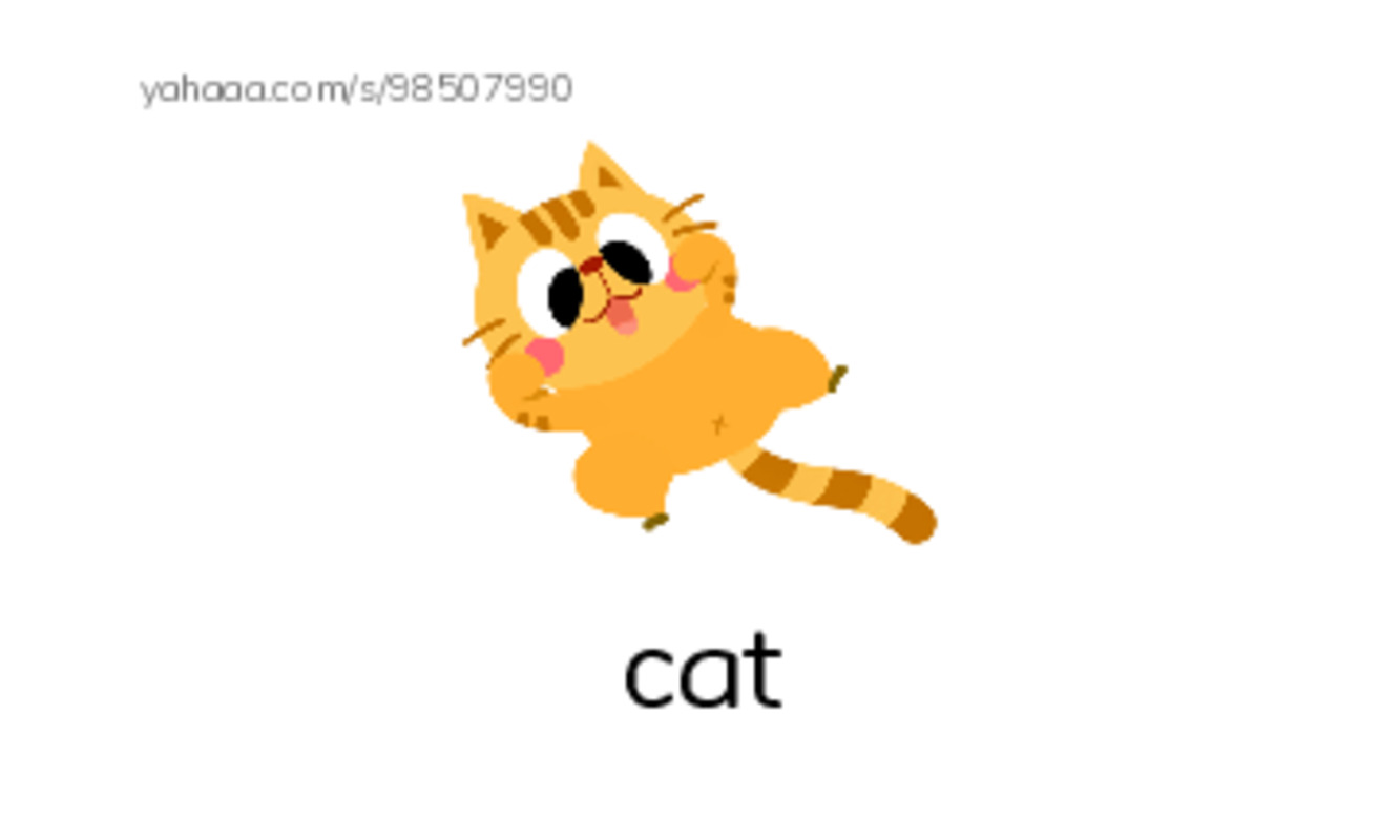 Index cards with pictures worksheet for Animals Around Us