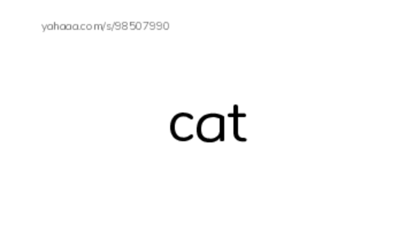 Index cards, words only worksheet for Animals Around Us