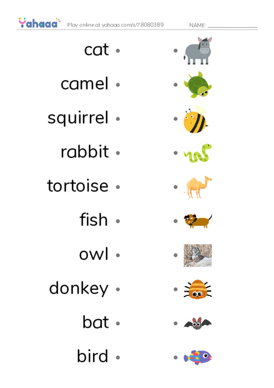 Draw a line to match worksheet for Animals Around Us
