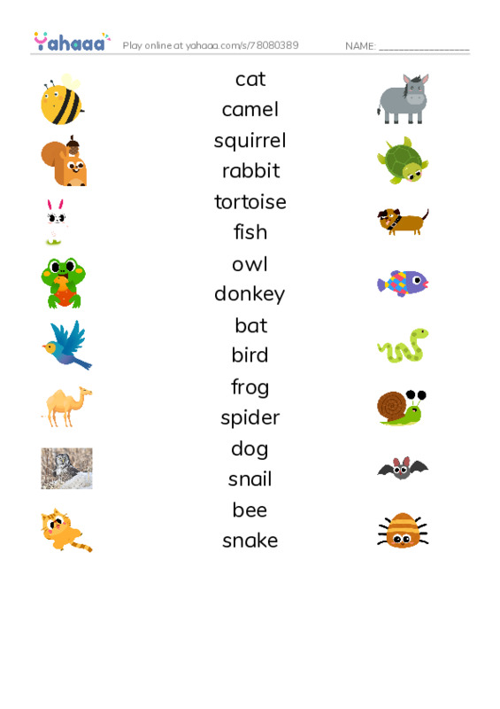 Match both sides worksheet for Animals Around Us