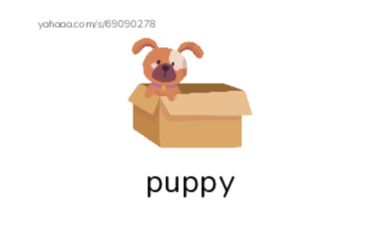 Farm animals PDF index cards with images