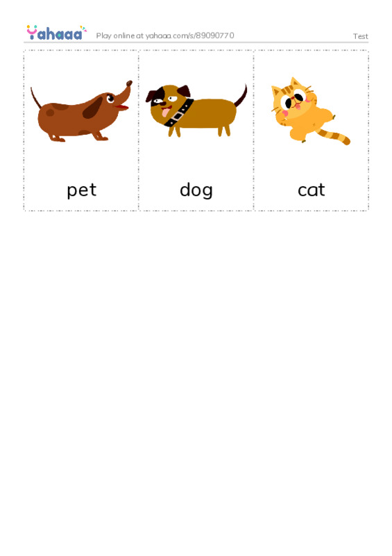 Picture flashcards worksheet for Test
