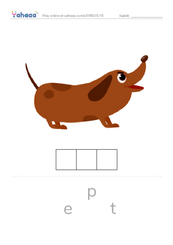 Letter scramble puzzle worksheet for Test