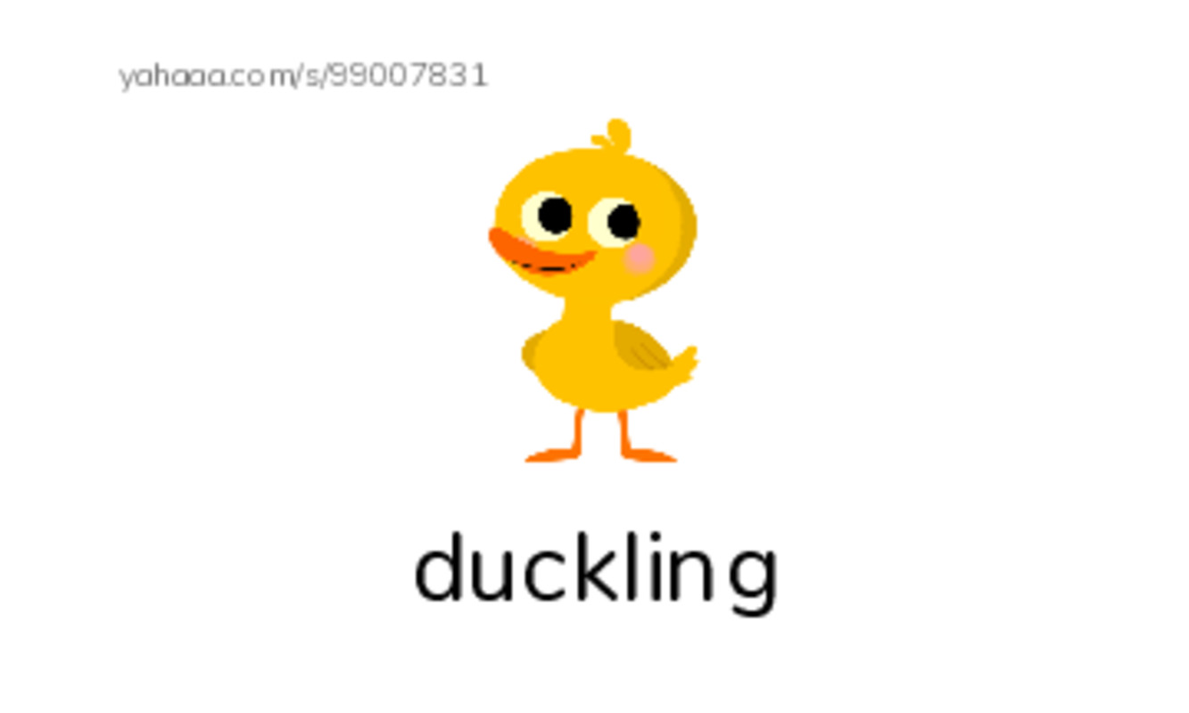 D words 2 PDF index cards with images