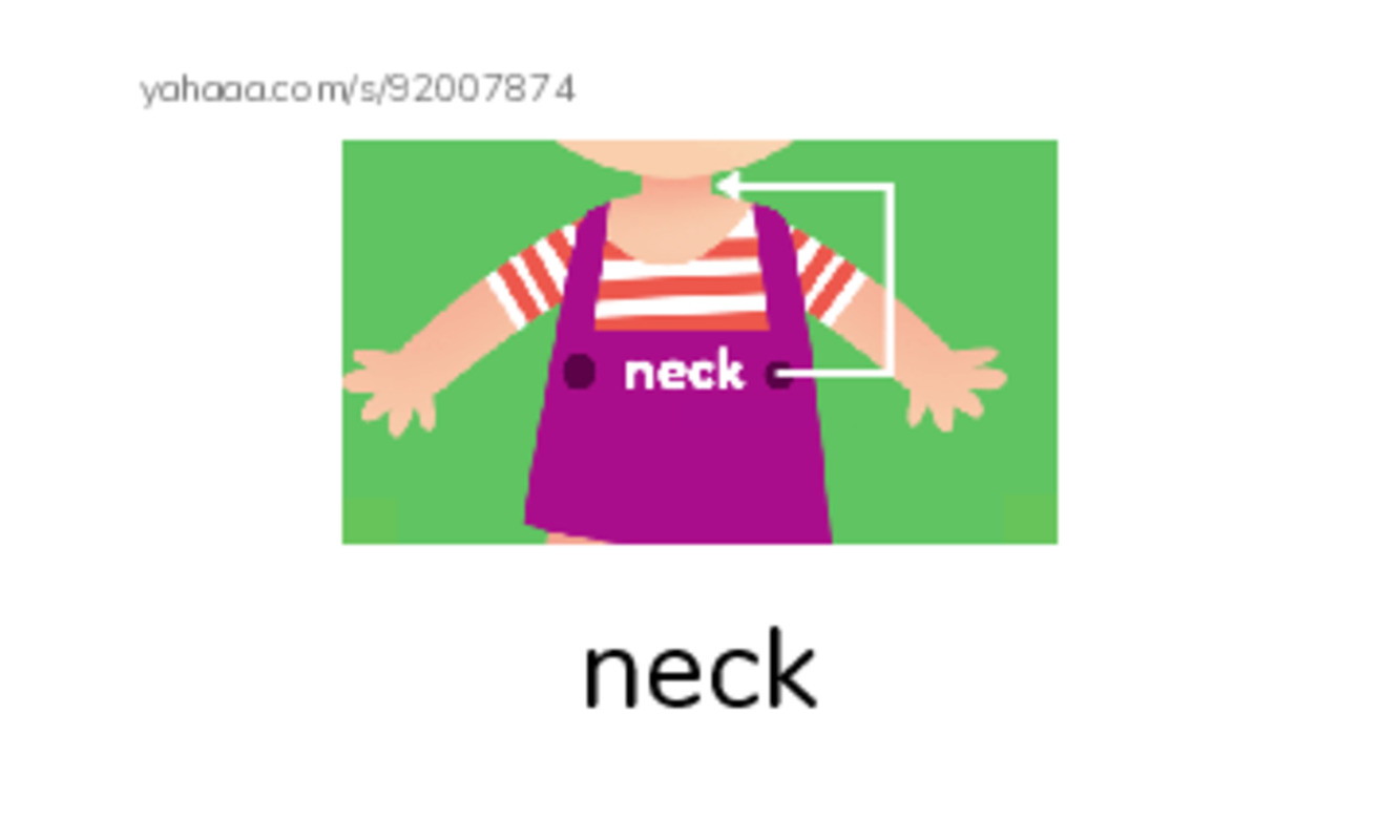 Words in N PDF index cards with images