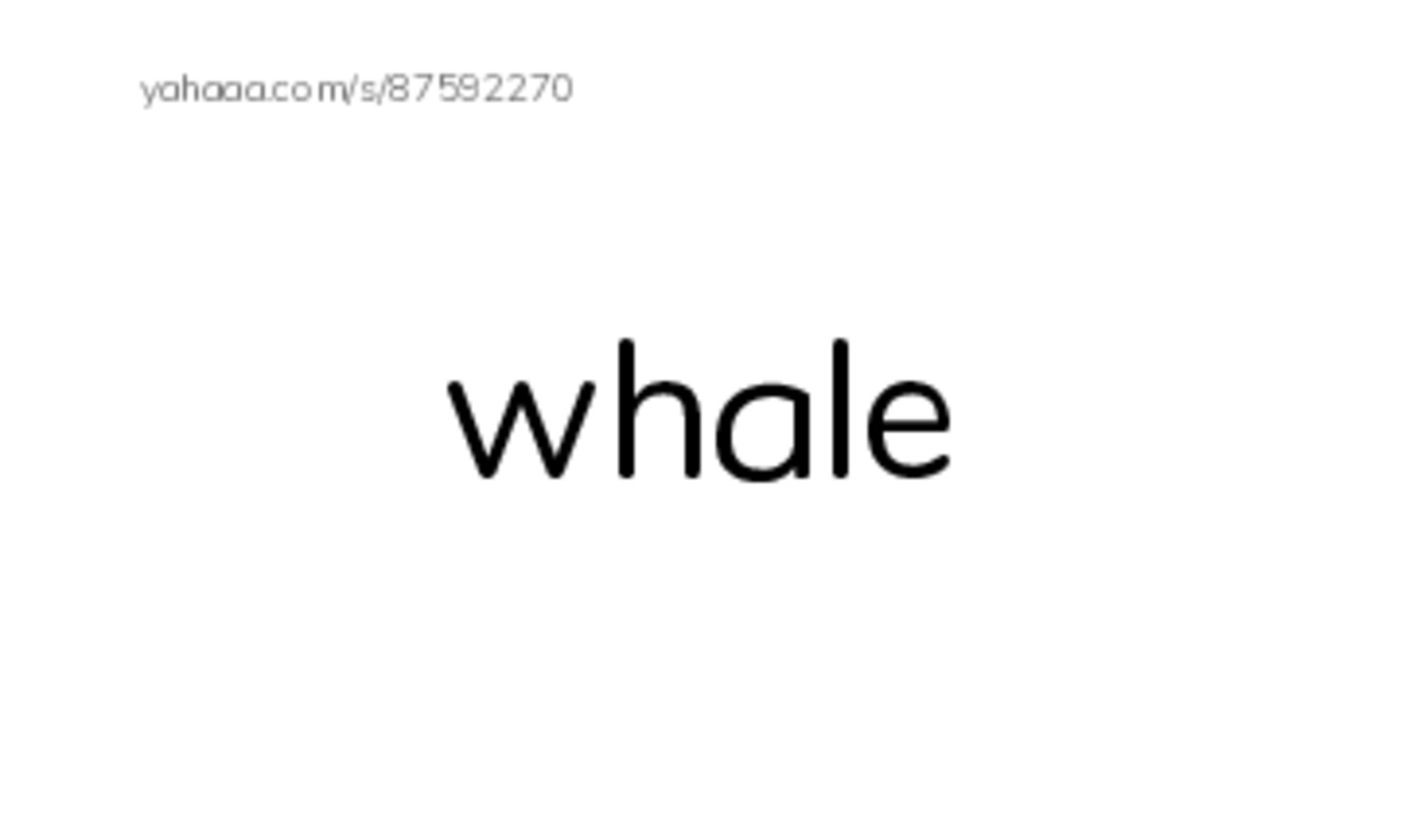 W words PDF index cards word only