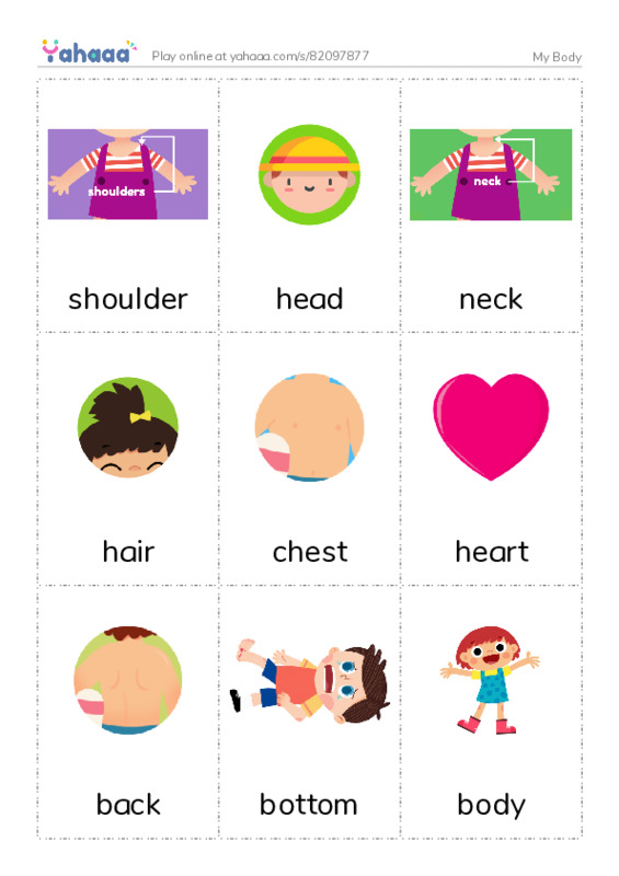 Picture flashcards worksheet for My Body