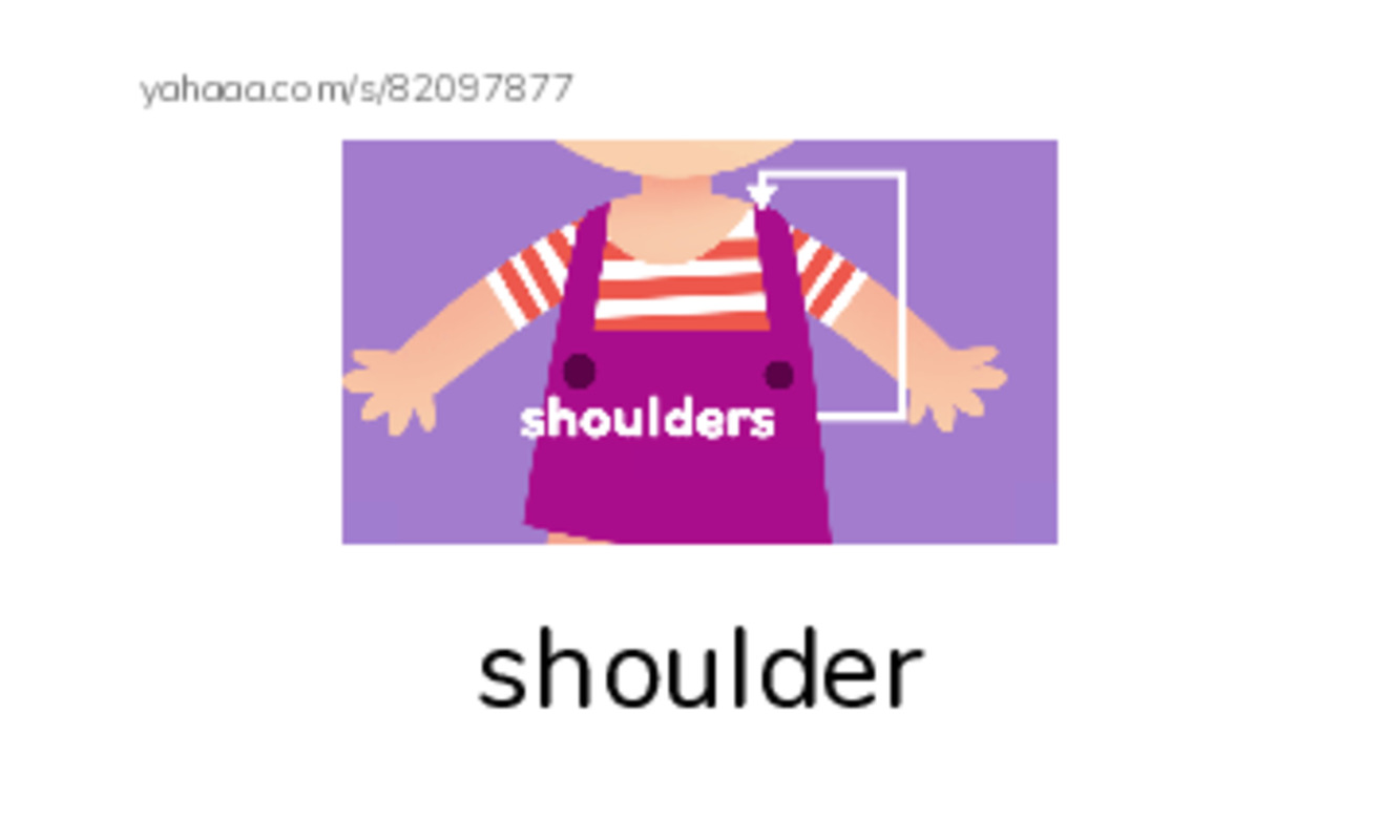 Index cards with pictures worksheet for My Body