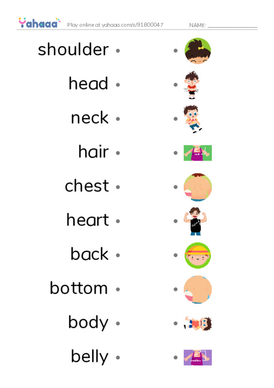 Draw a line to match worksheet for My Body