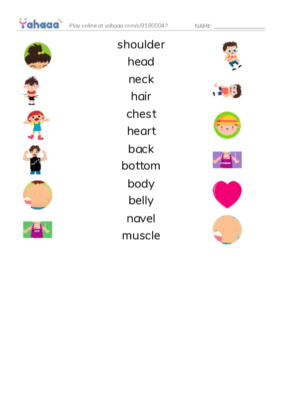 Match both sides worksheet for My Body