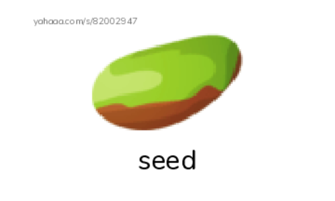 In the School PDF index cards with images