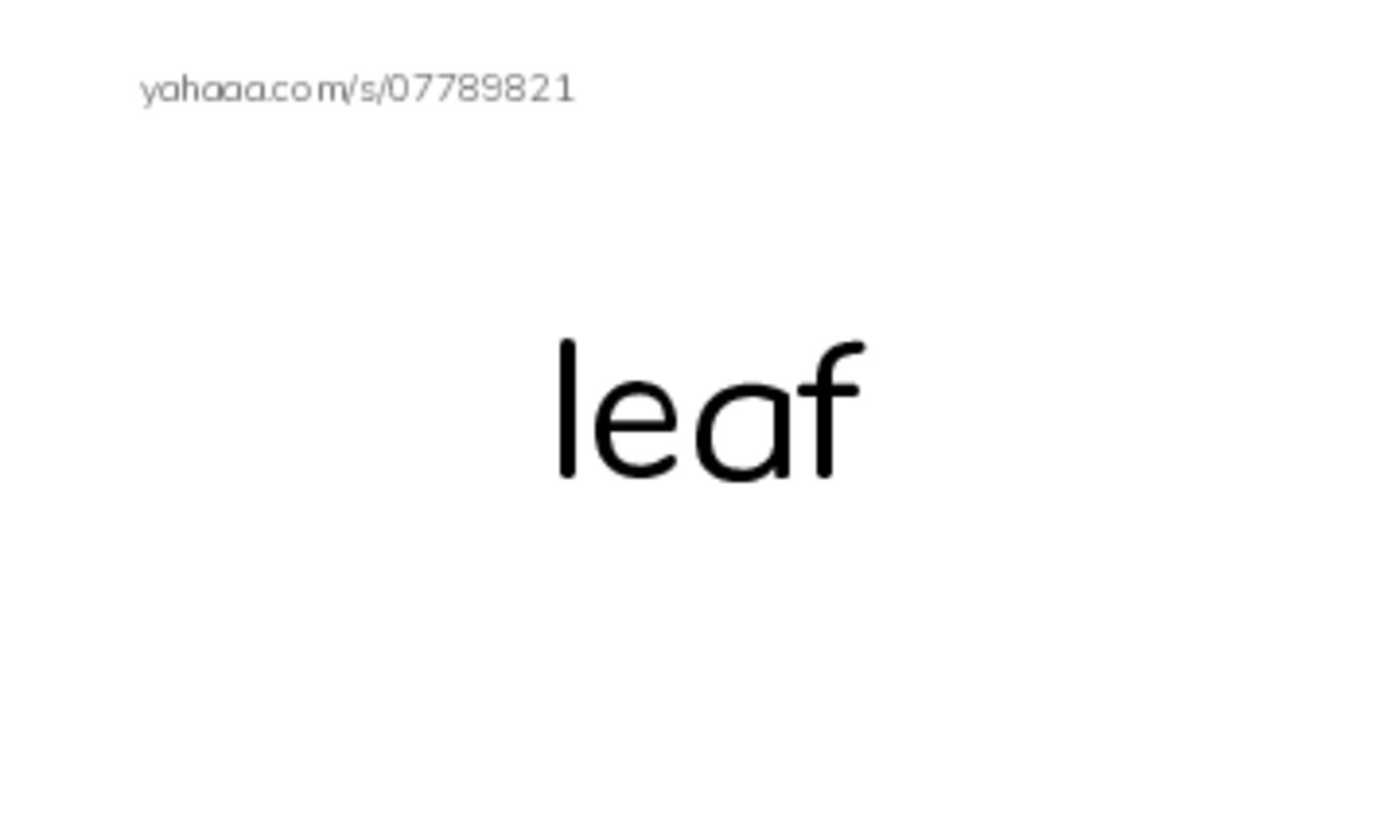 My Garden PDF index cards word only