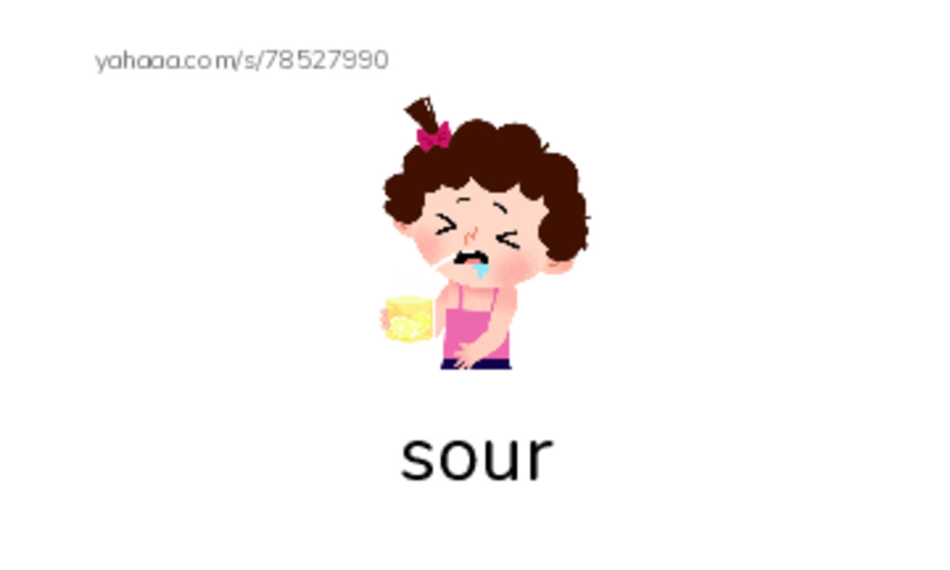 Taste and Flavor PDF index cards with images