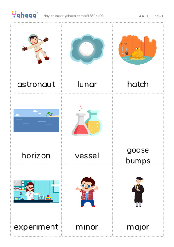 Picture flashcards worksheet for 4A FET Unit6 1