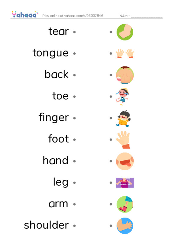 625 words to know in English: Body 2 PDF link match words worksheet