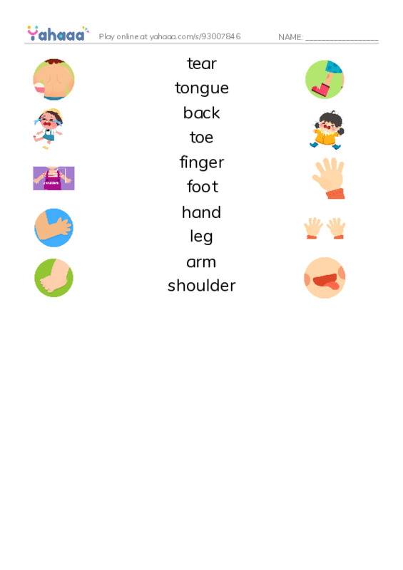625 words to know in English: Body 2 PDF three columns match words