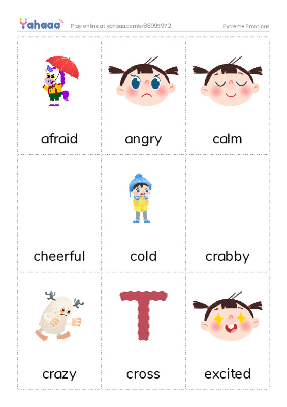 Extreme Emotions PDF flaschards with images