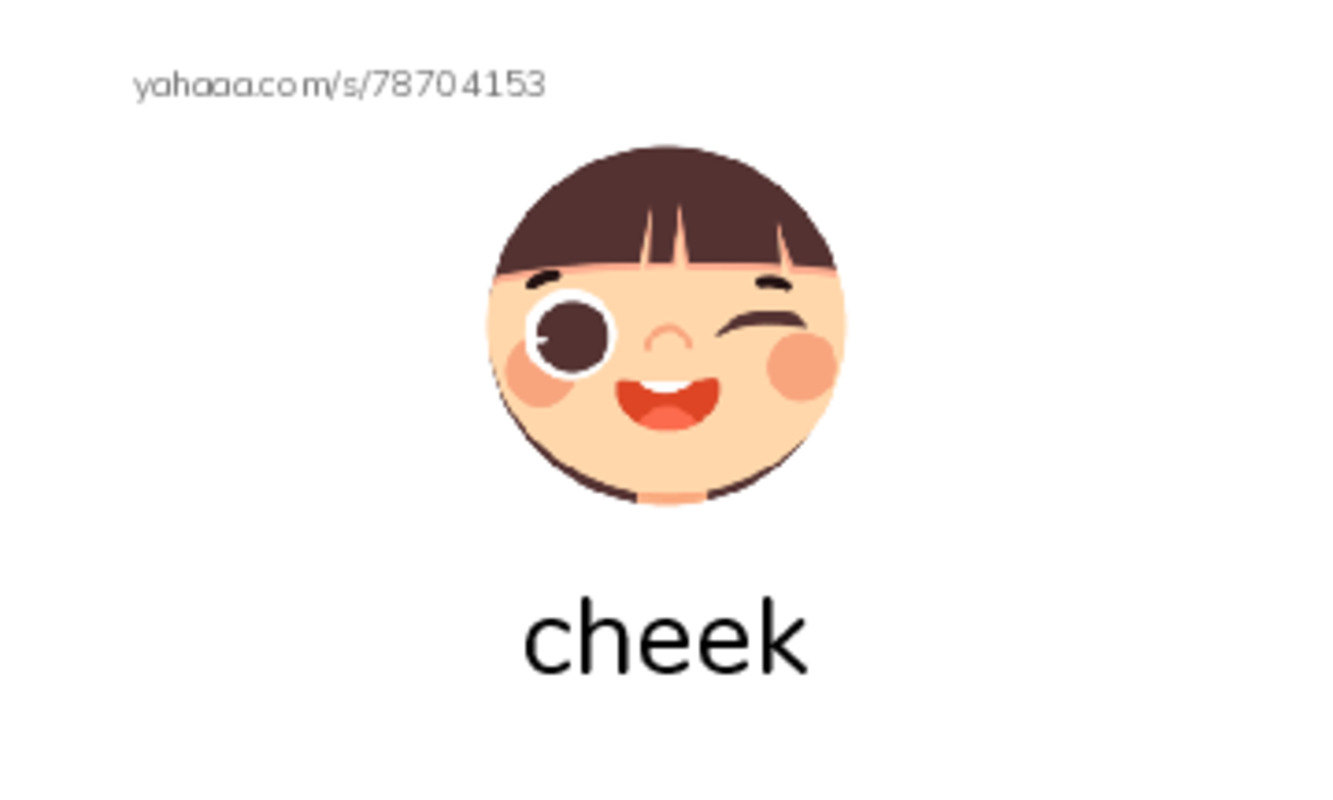 RAZ Vocabulary A: My Face PDF index cards with images