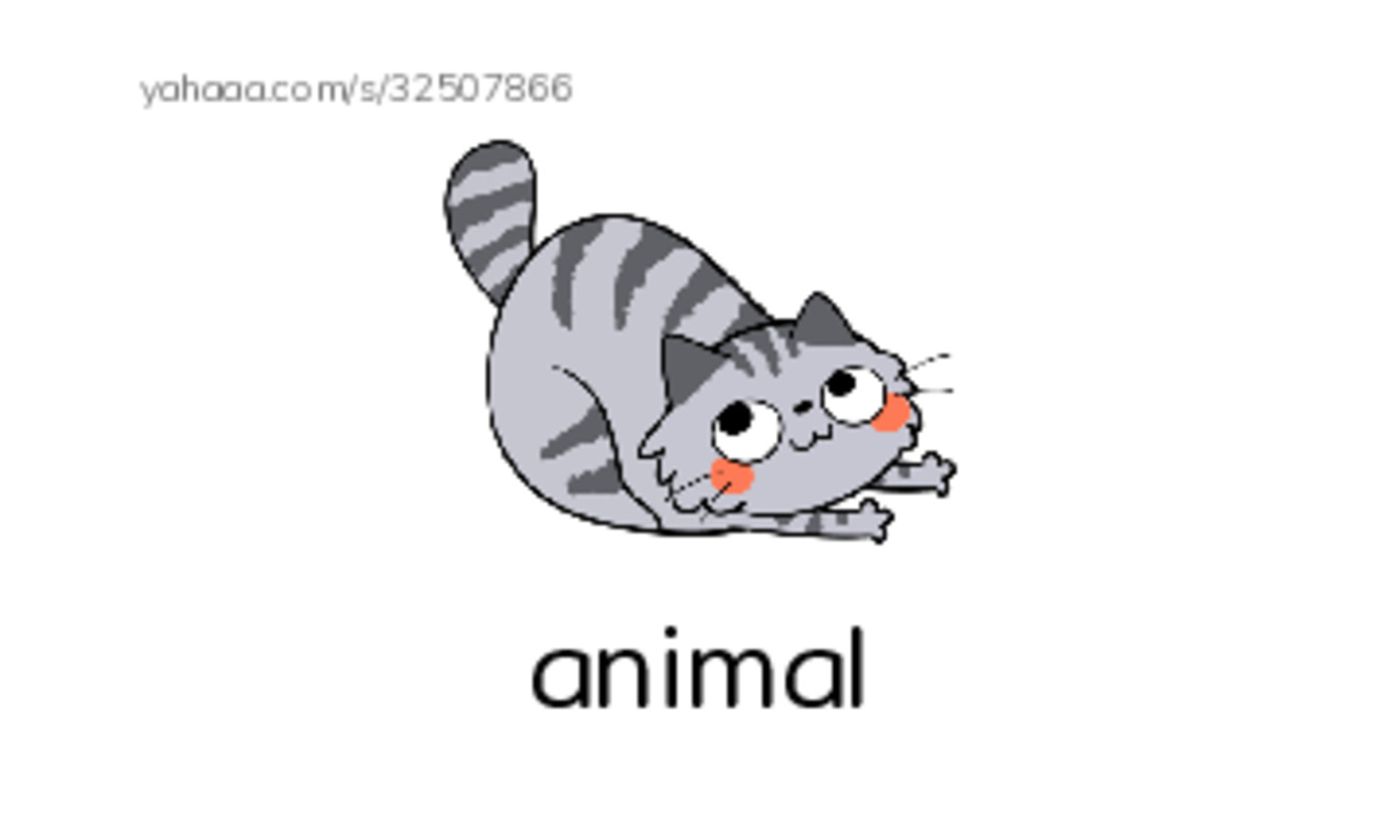 RAZ Vocabulary AAA: Farm Animals PDF index cards with images