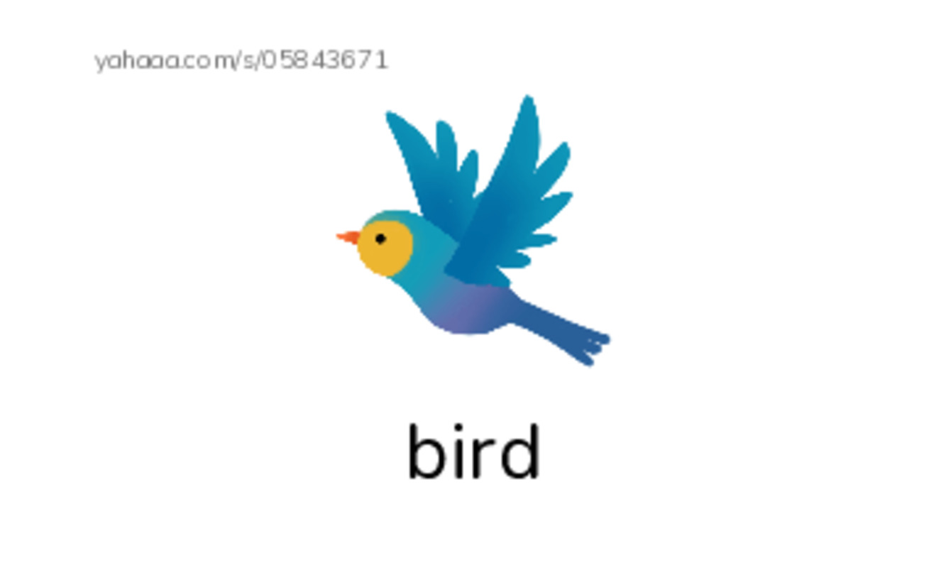 RAZ Vocabulary AAA: Go Go Go PDF index cards with images