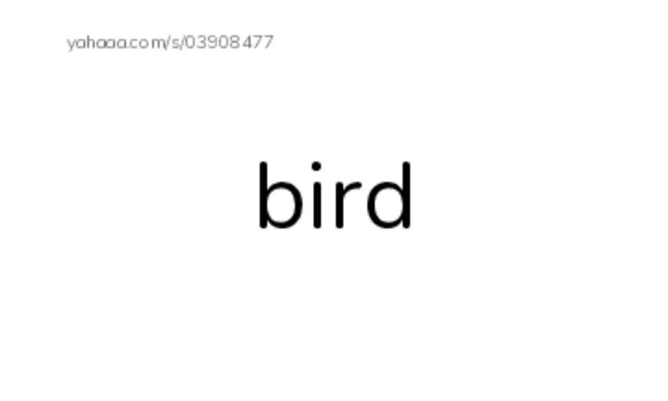 RAZ Vocabulary AAA: Pets PDF index cards word only