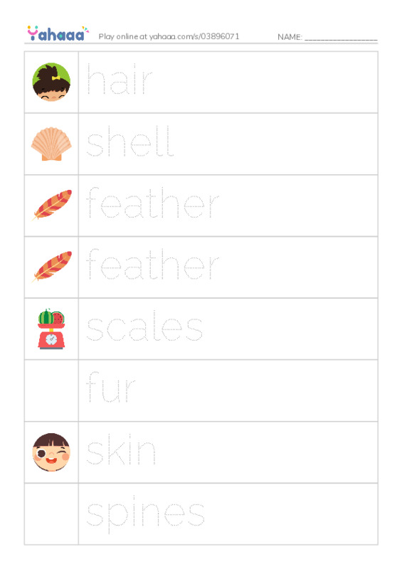RAZ Vocabulary B: Animal Coverings PDF one column image words