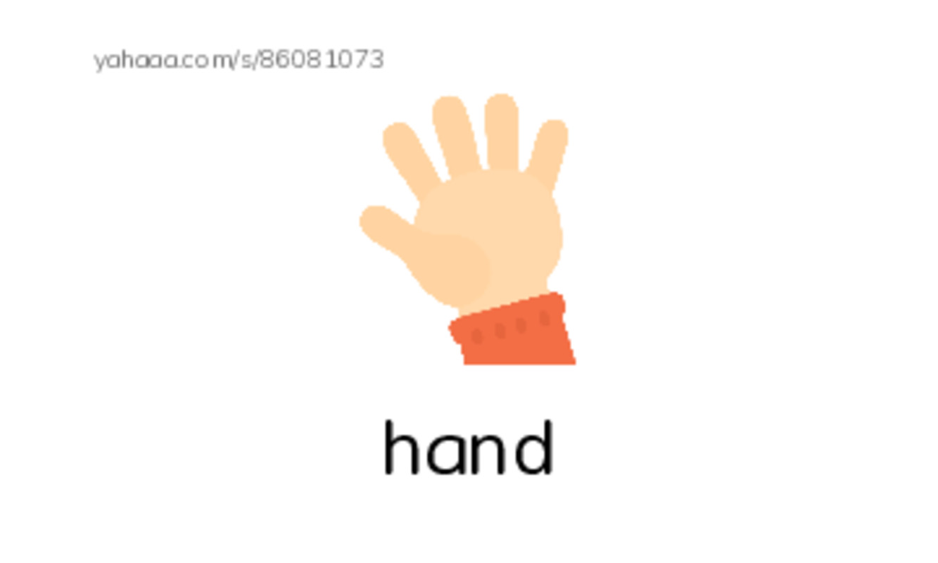 RAZ Vocabulary B: Bananas Sometimes PDF index cards with images