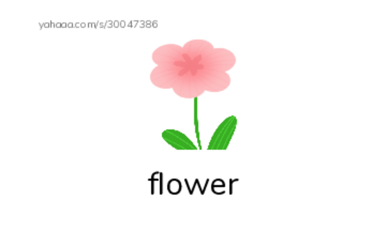 RAZ Vocabulary B: I Love Art Class PDF index cards with images