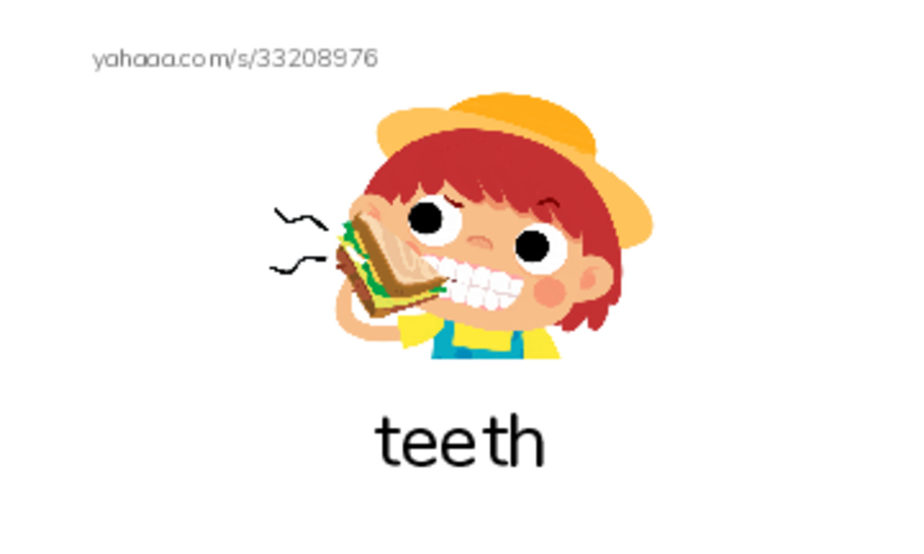 RAZ Vocabulary C: Different Kinds of Sharks PDF index cards with images