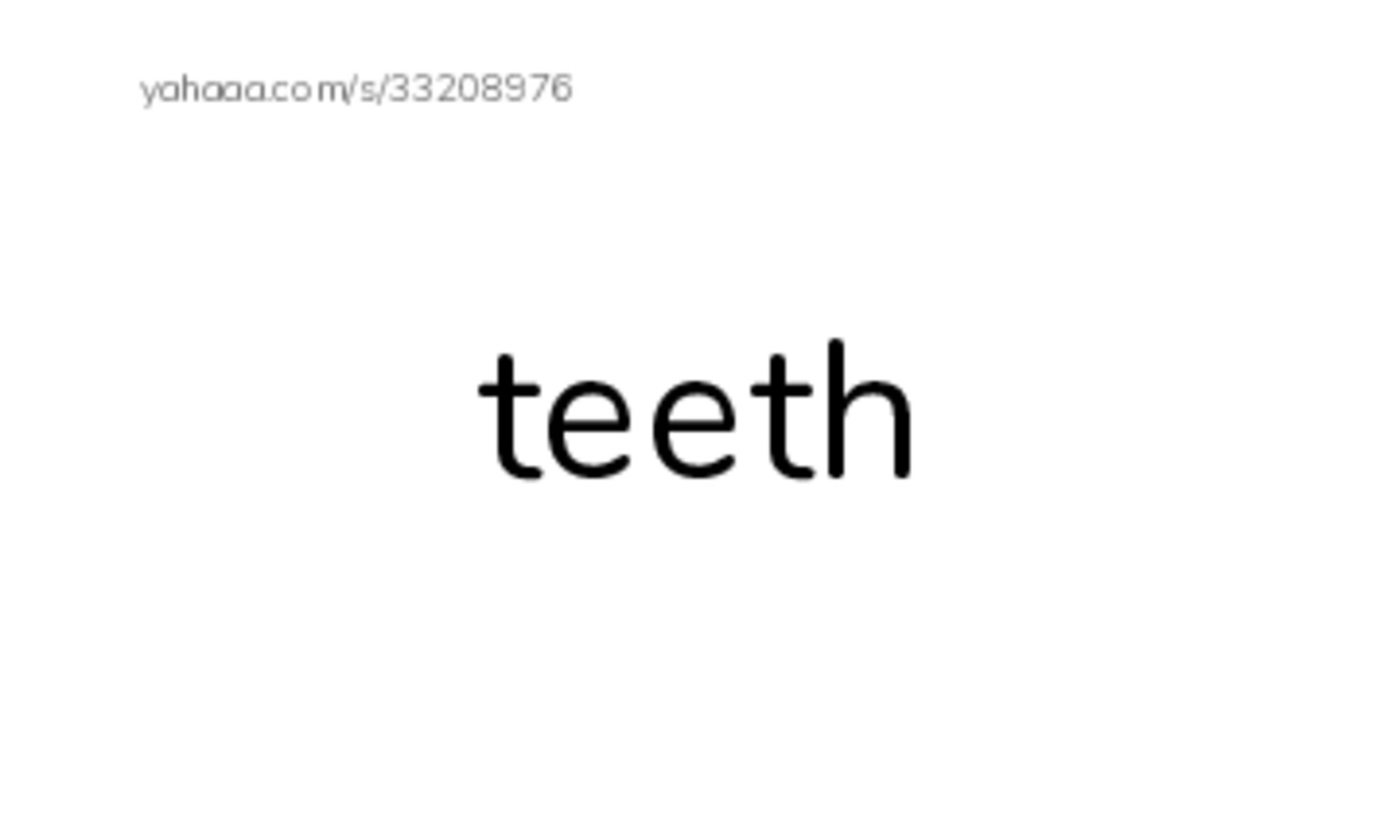 RAZ Vocabulary C: Different Kinds of Sharks PDF index cards word only