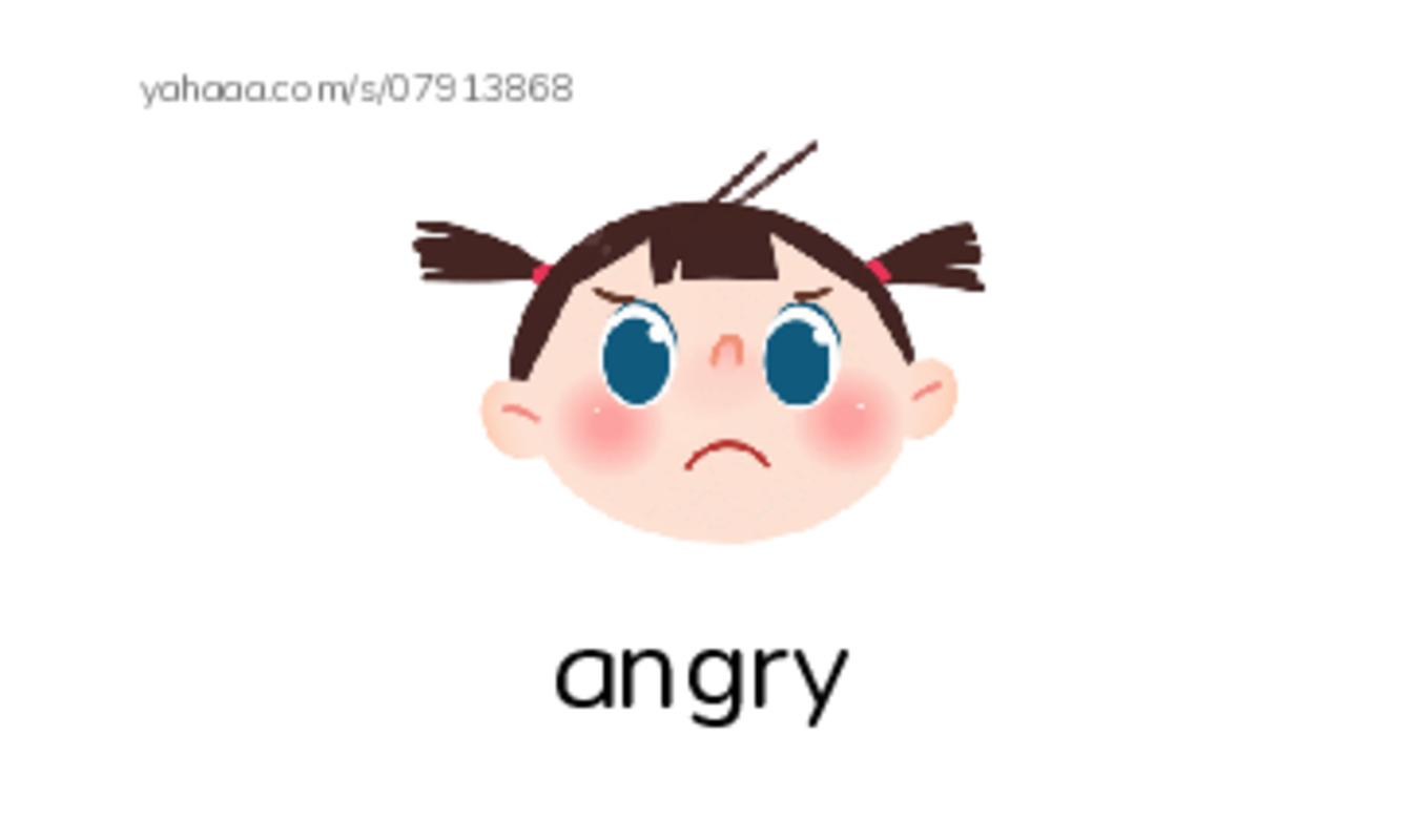 RAZ Vocabulary C: Feelings PDF index cards with images