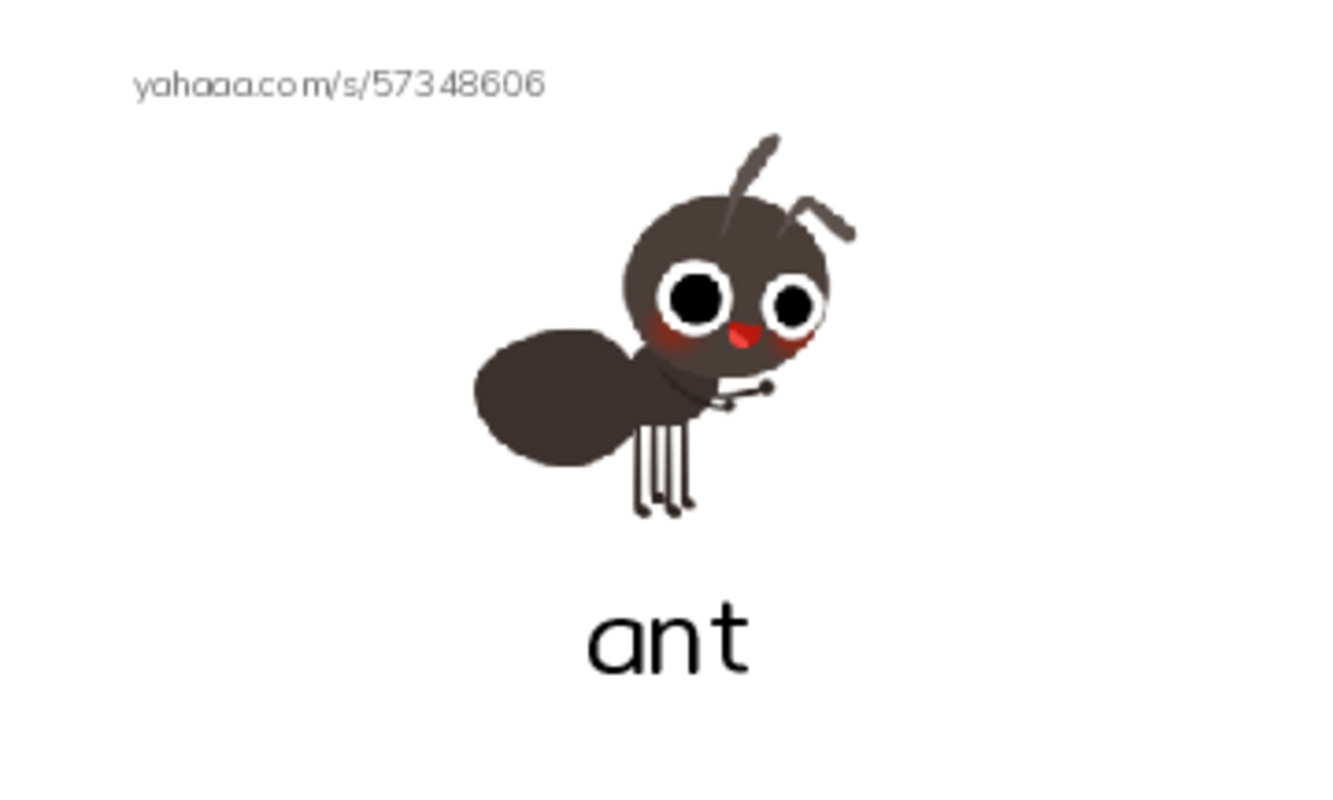RAZ Vocabulary C: We Count PDF index cards with images