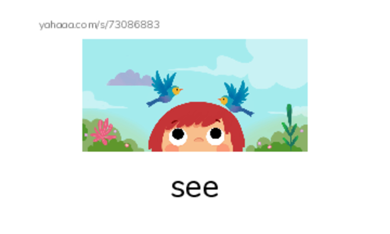 RAZ Vocabulary D: Senses PDF index cards with images
