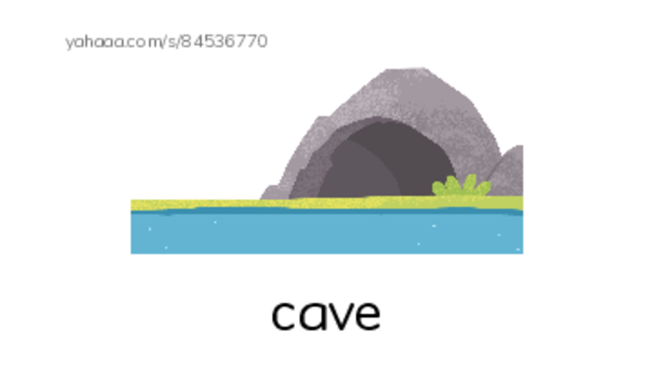 RAZ Vocabulary D: Where Animals Live PDF index cards with images
