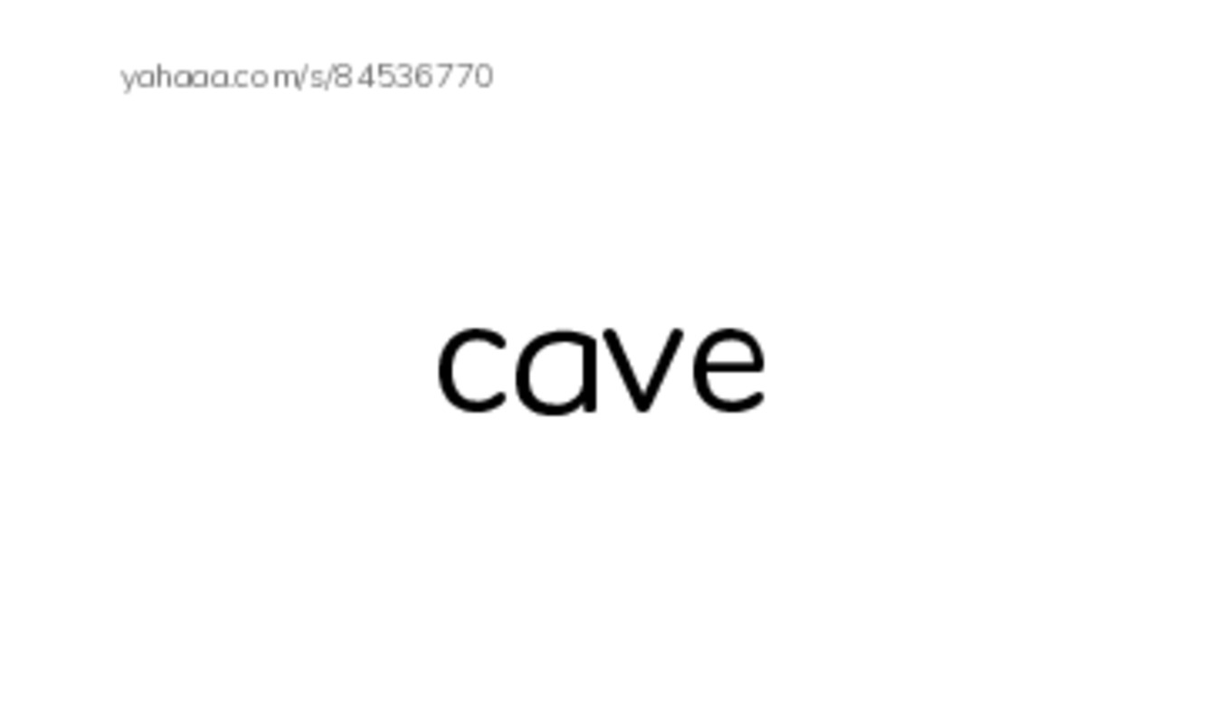 RAZ Vocabulary D: Where Animals Live PDF index cards word only