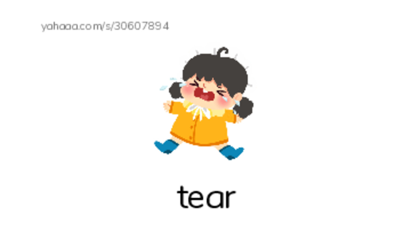 RAZ Vocabulary E: What Is in the Box PDF index cards with images