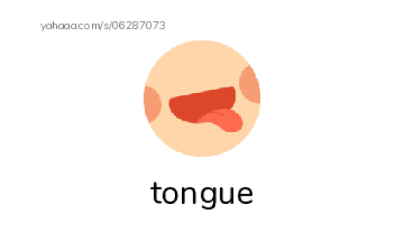 RAZ Vocabulary F: Taste This PDF index cards with images