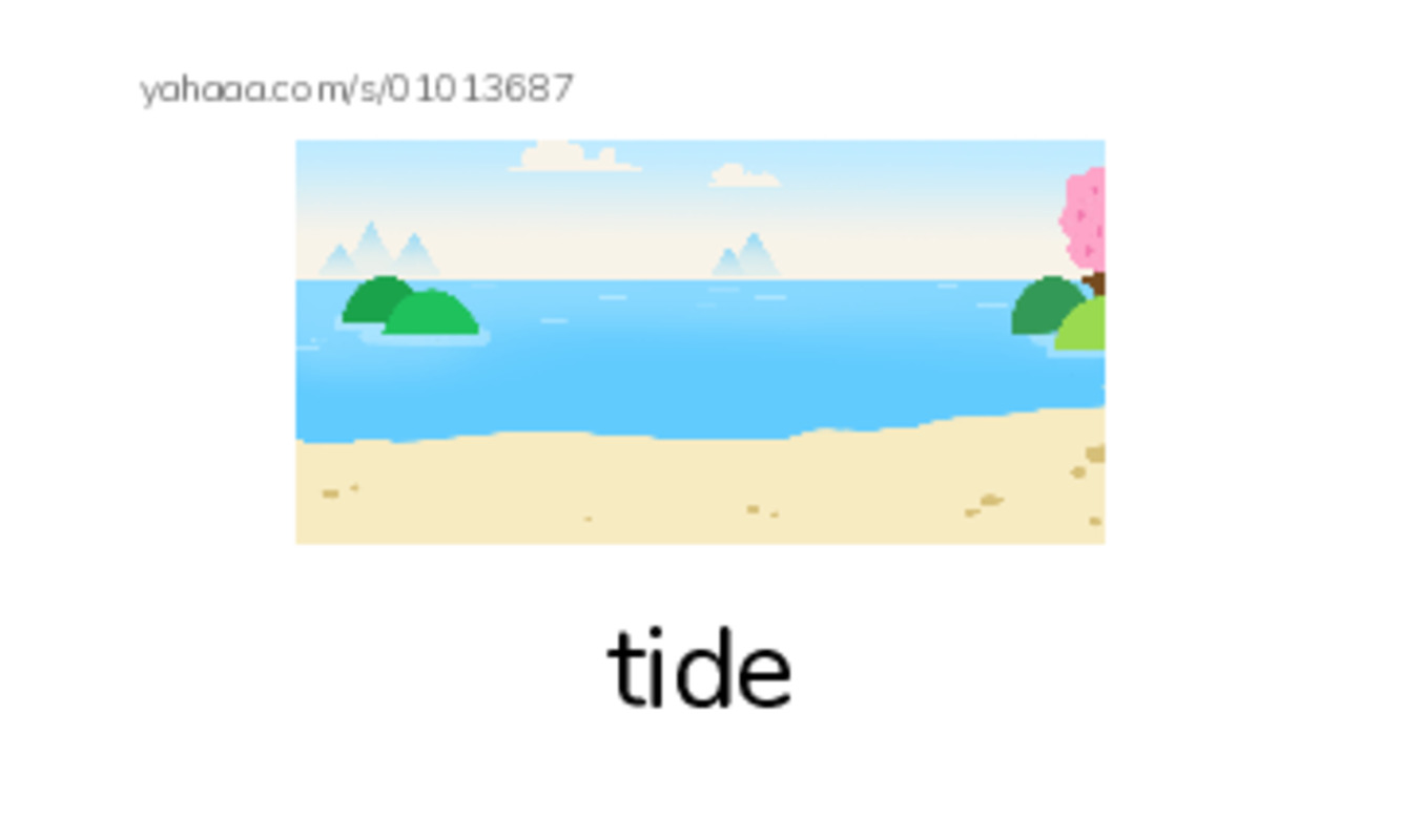RAZ Vocabulary I: Amazing Beaches PDF index cards with images