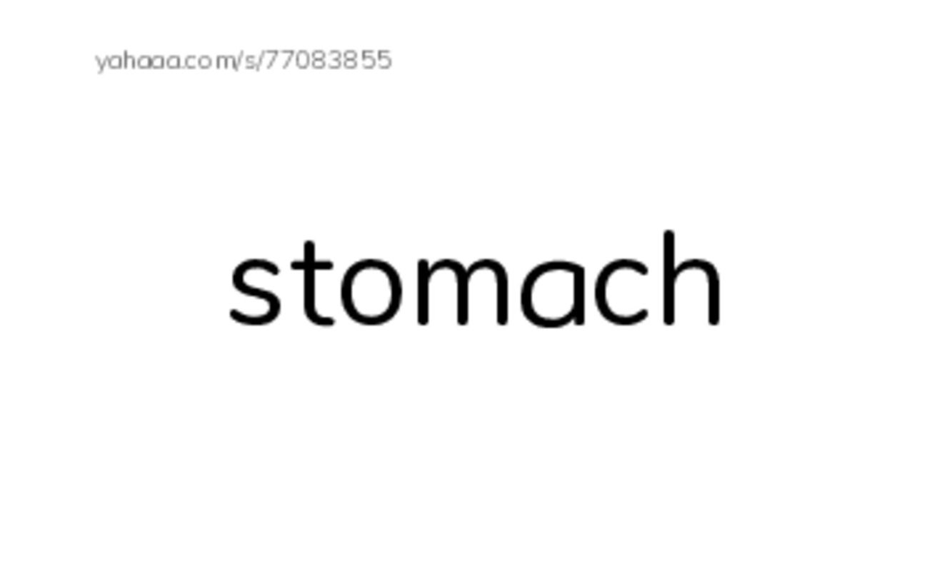 RAZ Vocabulary J: A Rainbow of Food PDF index cards word only