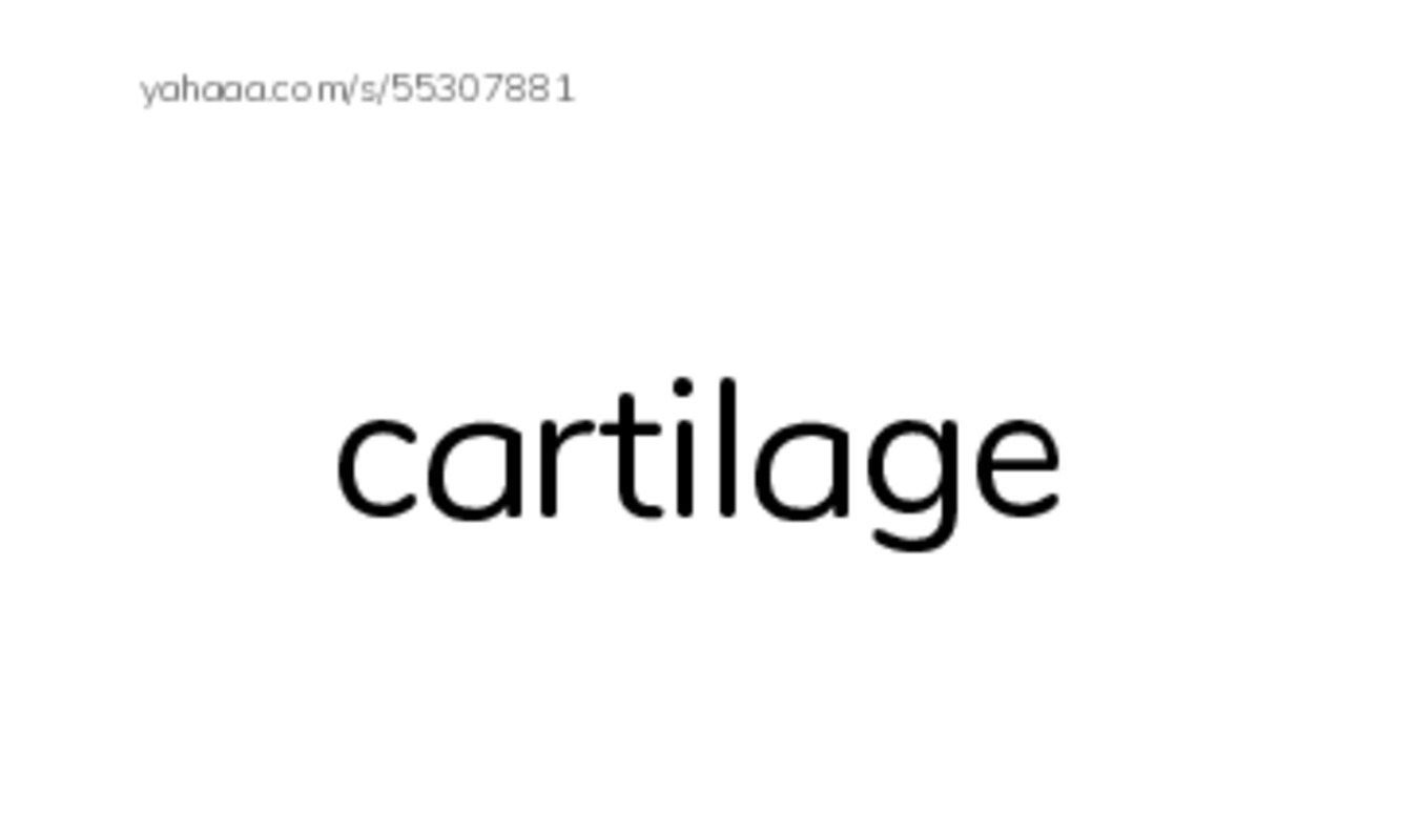 RAZ Vocabulary J: Sharks PDF index cards with images