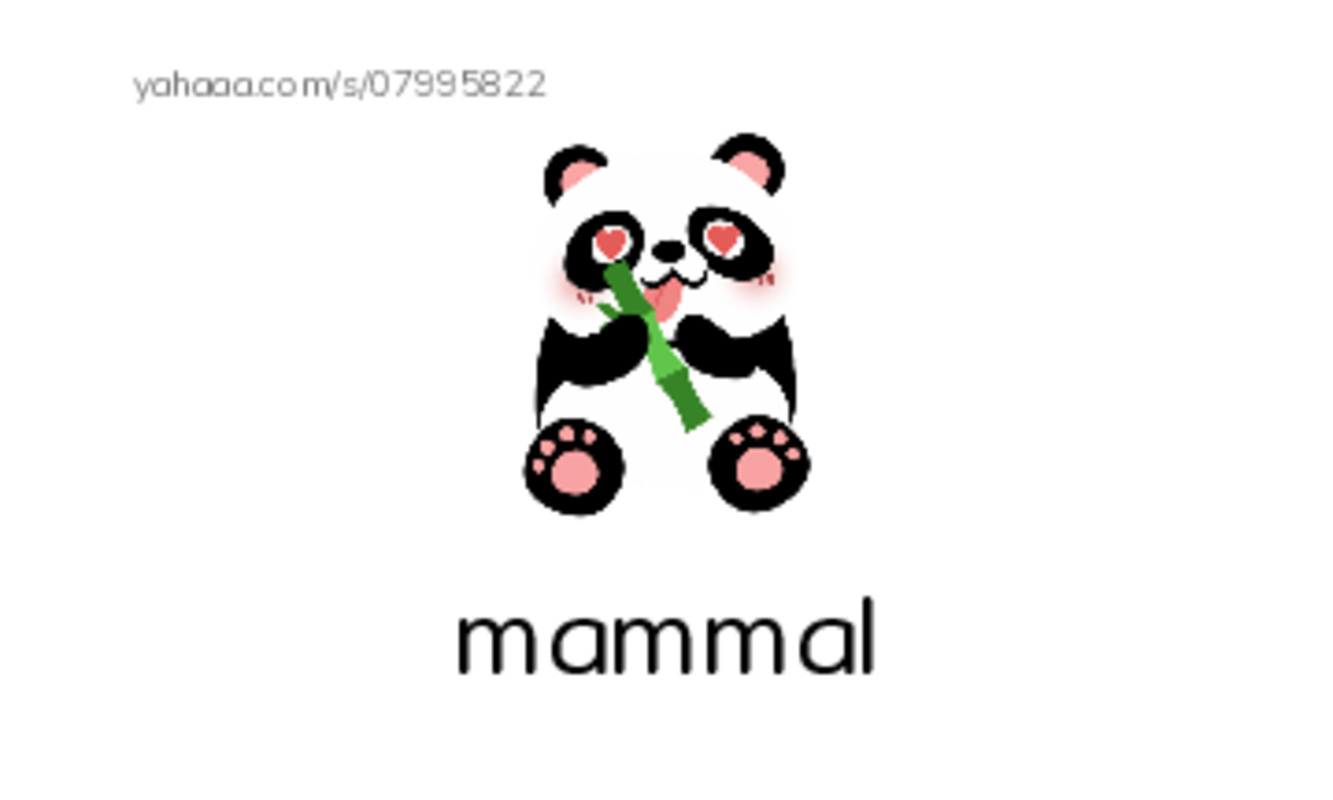 RAZ Vocabulary K: Extreme Animals PDF index cards with images