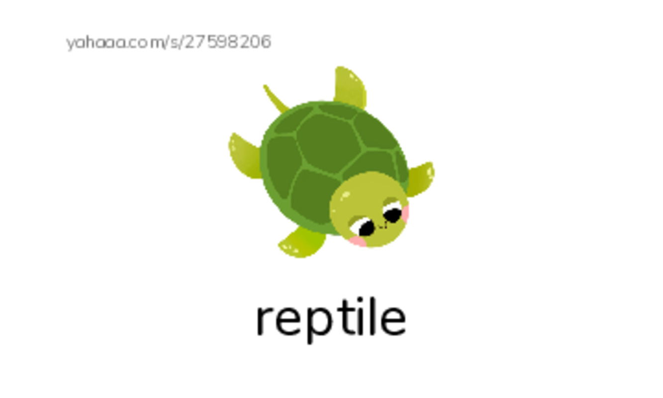 RAZ Vocabulary K: Slithery and Slimy PDF index cards with images