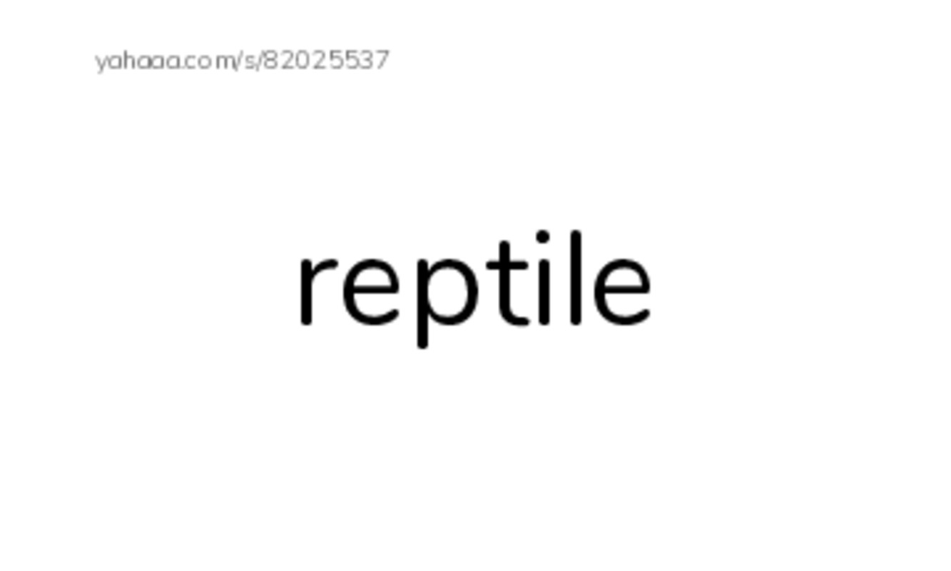 RAZ Vocabulary L: Crocs and Gators PDF index cards word only