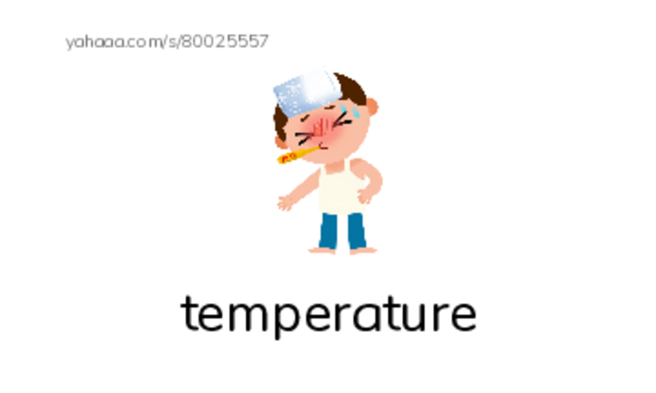 RAZ Vocabulary L: How We Measure PDF index cards with images