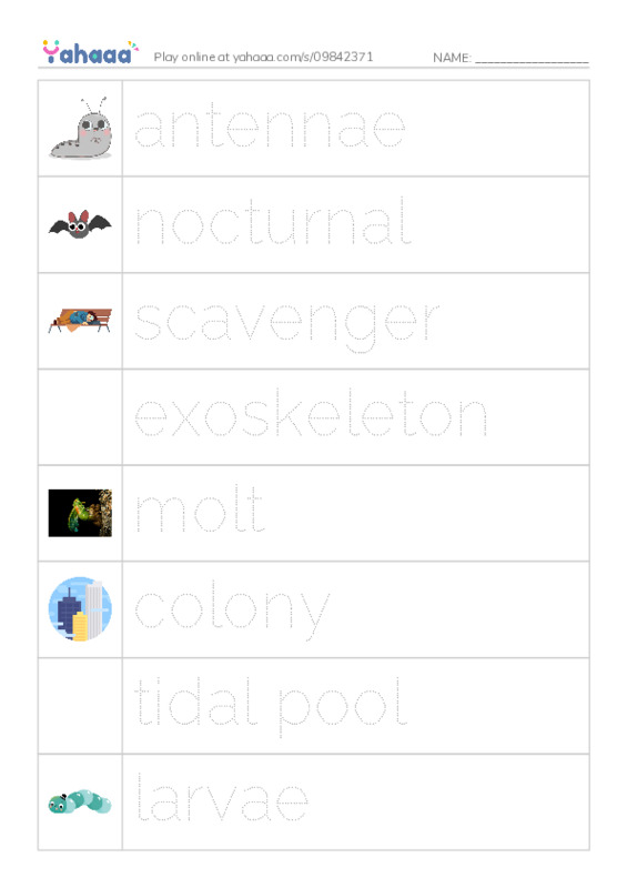 RAZ Vocabulary M: Hermit Crabs PDF one column image words