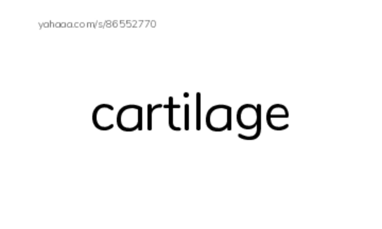 RAZ Vocabulary M: Sharks PDF index cards word only