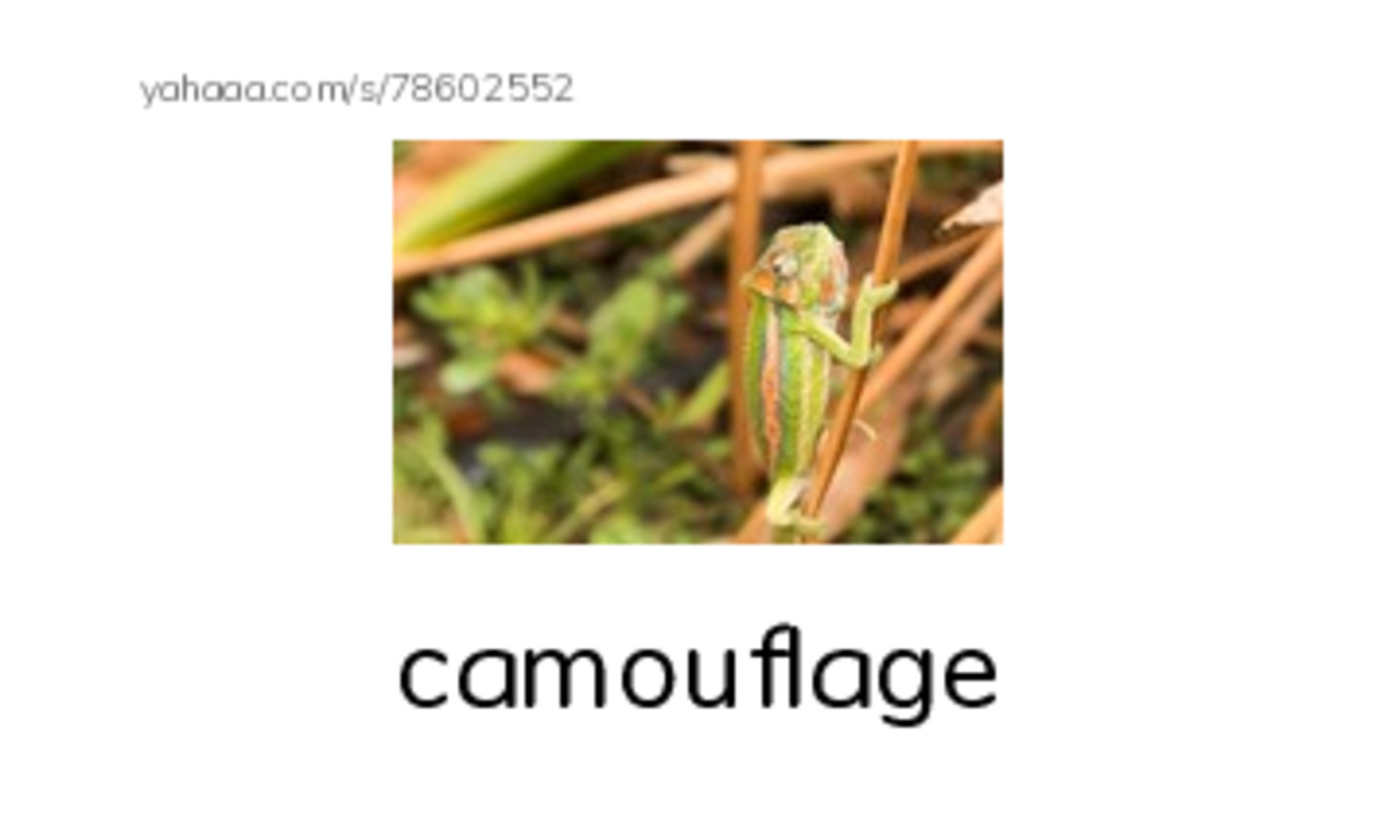RAZ Vocabulary M: Snow Camping PDF index cards with images