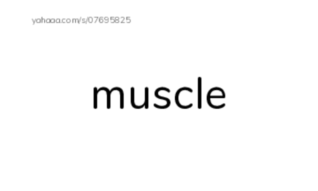 RAZ Vocabulary M: Wiggly Worms PDF index cards word only