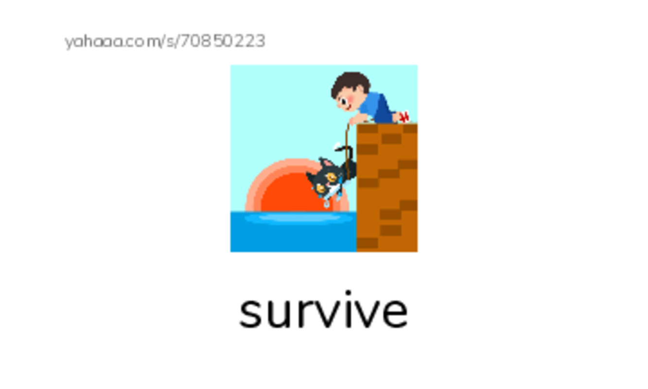 RAZ Vocabulary N: Raven and the Flood PDF index cards with images